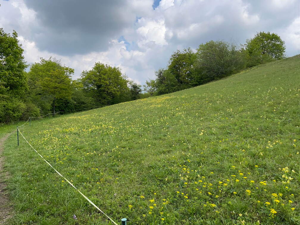 22-04-25 13-59-34 0635